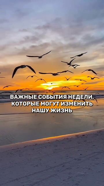 ЗАВТРА АСПЕКТ МИЛЛИОНЕРА смотреть онлайн