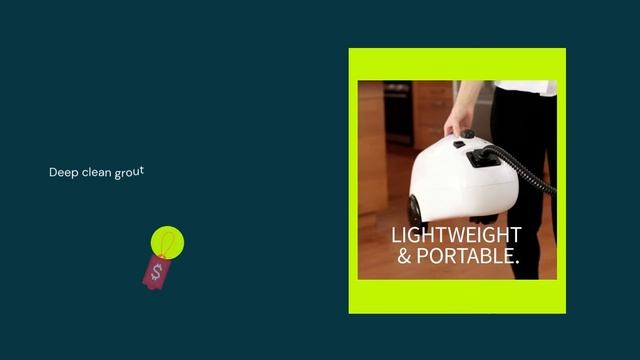 Dupray HOME Steam Cleaner European Made Kills 99.99%* Bacteria Viruses for Disinfection and Cleanin смотреть онлайн