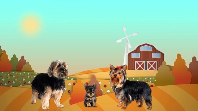 Домашние Животные и их Детеныши - Развивающие Мультики для Детей смотреть онлайн