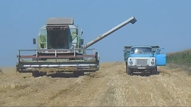 клас домінатор 108+камаз+2 газона озима пшениця+40ц гек смотреть онлайн