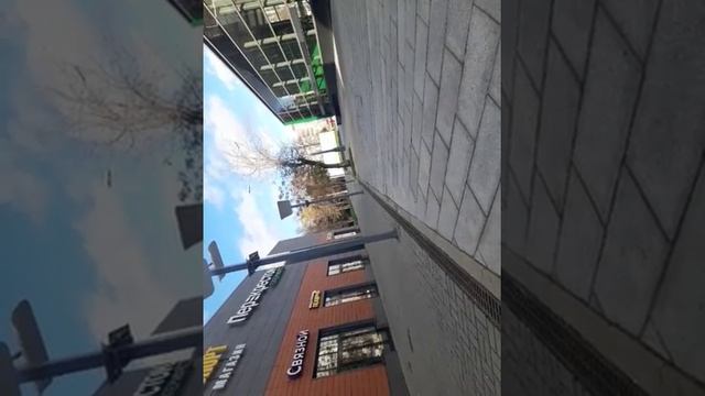 27.10,28.10,30.10,01.11 Дмитровское шоссе 73 ТЦ Metromall цветочный_2018-10-27_18-14-10 смотреть онлайн