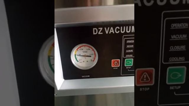 DZ-600 vacuum sealer with gas flush смотреть онлайн