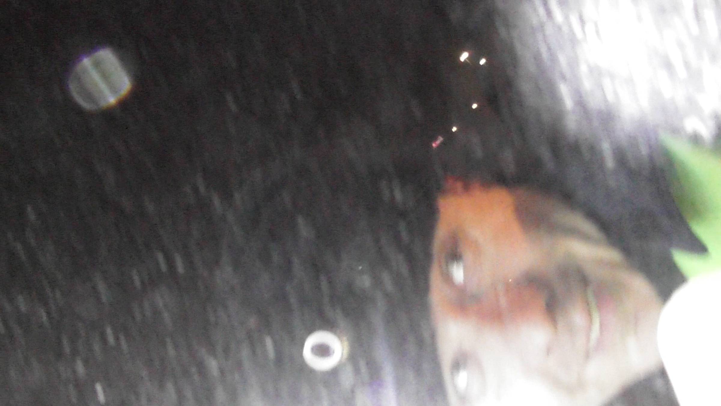 Остановили, документы, багажник, досмотр, уйди и сдулись. ГАИ СВАО. 77-0205 Жернов, Никоноров. смотреть онлайн