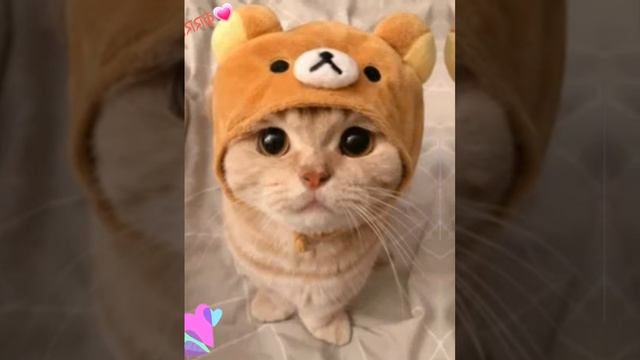 Riptide(Speed Up) всё равно никто мне лайк Не поставит😣😔 смотреть онлайн