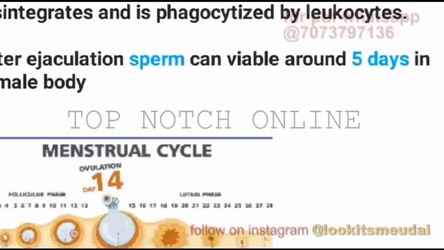 Obestrics&Gynecology Most Important Repeated Question,OBG Important MCQ For all Exam/MCQ Staff Nurs смотреть онлайн