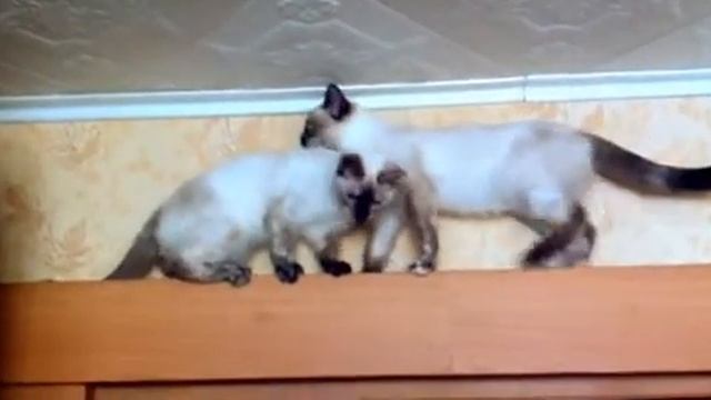 ВЫХОД ЕСТЬ ВСЕГДА! смотреть онлайн