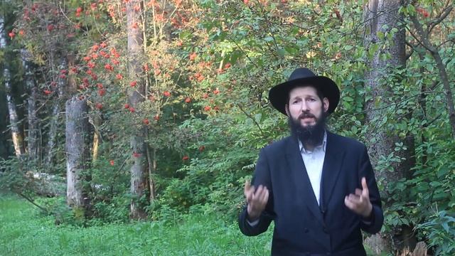 НОЧЬЮ за МОЛОКОМ. Реувен Куравский о Слихот. смотреть онлайн