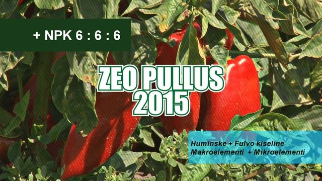 ZEO PULLUS 2015 - BOLJI PELETERINI PILEĆI STAJNJAK смотреть онлайн
