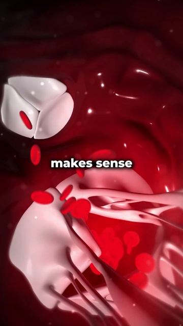 What happens inside your heart. 😮 [EXPLAINED] смотреть онлайн