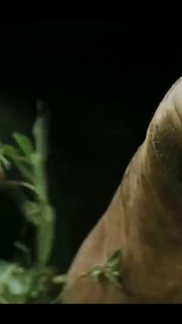 Нашёл алмаз💎Название👇👇👇 #shorts #кино #топ #фильм #like #top смотреть онлайн