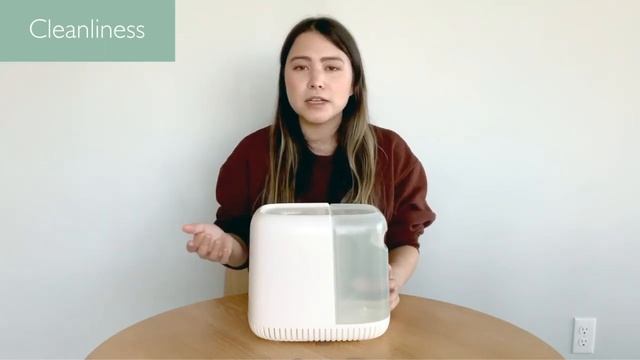 Canopy Humidifier - Review & Experience After 45 Days смотреть онлайн