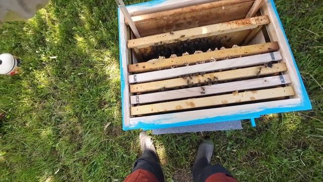 ЗАСЕЛВАМ И ВТОРИЯТ РОЯК смотреть онлайн