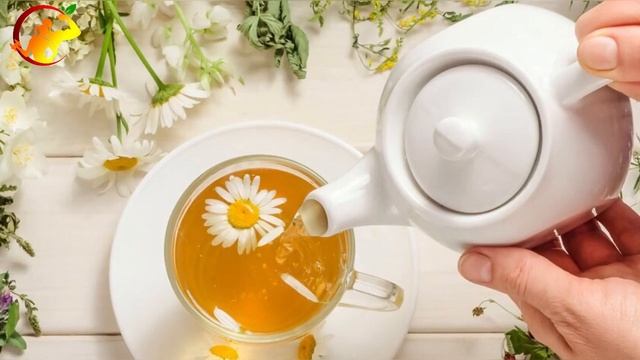 Вред Ромашки! Кому Нельзя Употреблять Ромашку? Что Творит Ромашковый Чай смотреть онлайн