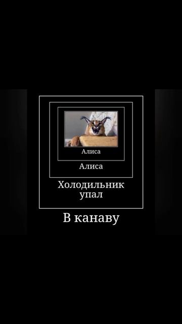 Алиса и шлепа#1 смотреть онлайн