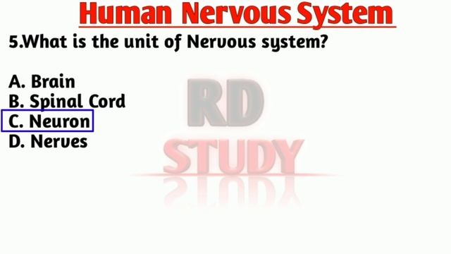 Human Nervous System | Human Nervous System Important Questions | RD Study | RRB Group-D смотреть онлайн