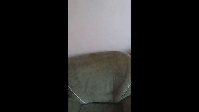 мд Пират смотреть онлайн