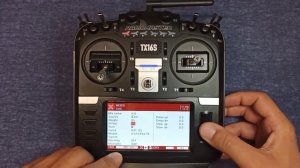 radiomaster TX16S - flapperoni