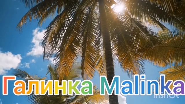 Ольга Уралочка live /Жесть /Ну и свинтус /Обзор Влогов /Уралочка и Сафар / смотреть онлайн