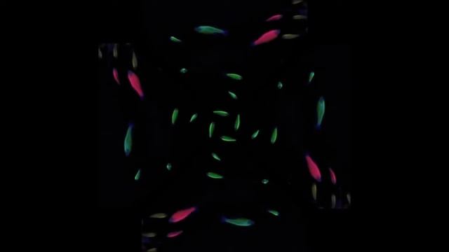Glow Fish Sangeeth Hologram Video