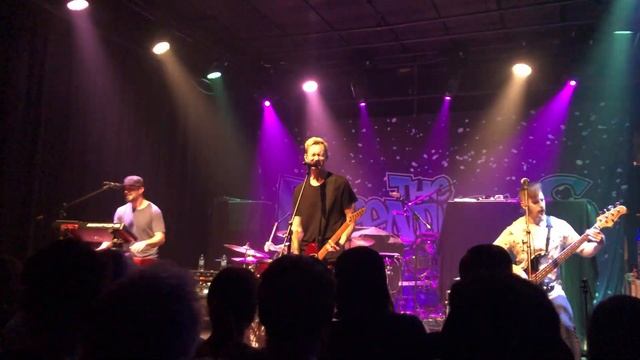 Ballyhoo! - She Wants To Destroy Me (Live from Liter-A-Cola 2019) смотреть онлайн