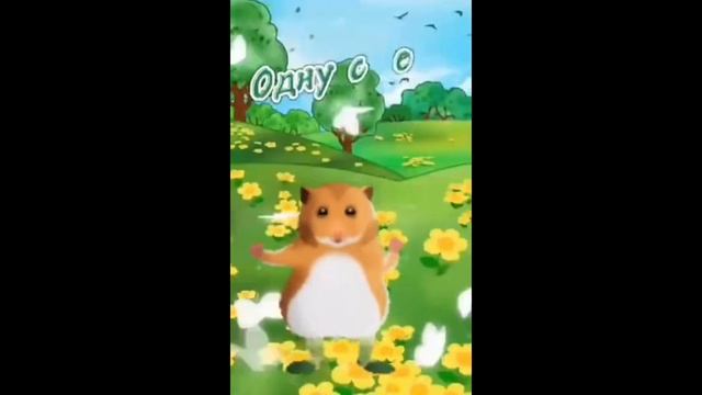 Хомяк танцует 1 час смотреть онлайн