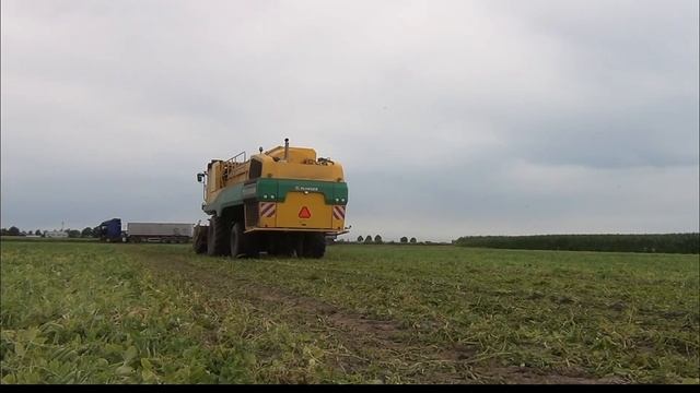Groszkowe żniwa 2019 – w polu kombajn Ploeger EPD 540 смотреть онлайн