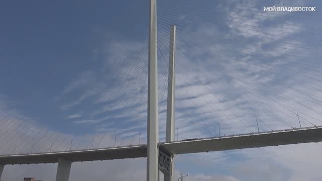 Владивосток вид с территории отеля 27 апреля 2023. смотреть онлайн