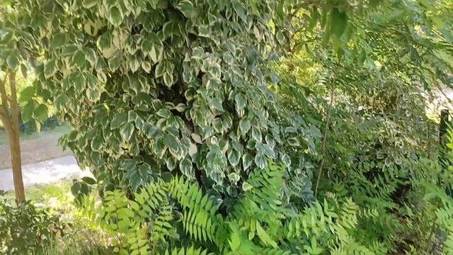 RELOJ JARAGAR MAS DURO QUE UN TANQUE смотреть онлайн