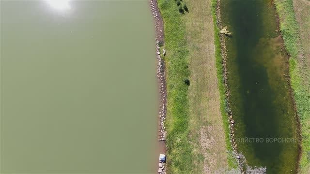 Хлорелла. Эффект внесения в пруды смотреть онлайн