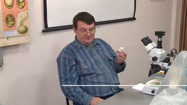 ул пушанина32!муравьи смотреть онлайн