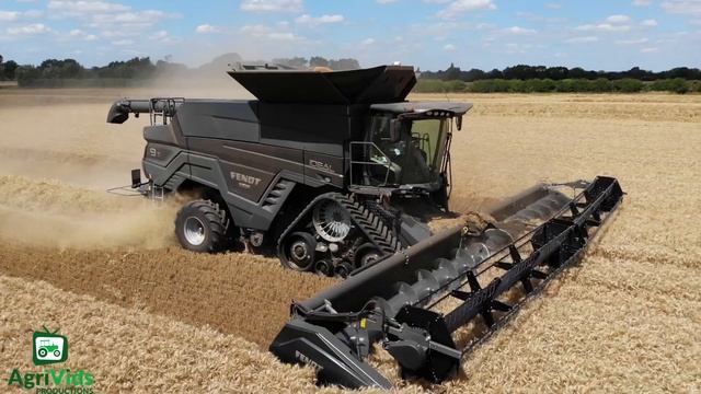 Fendt Ideal 9T Harvesting Wheat 🌾☀️. Steve Benson Farming 🚜
