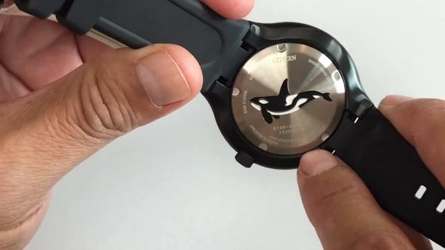 BN0235-01E Citizen Revisión 1 Minuto Unboxing 1 Minute