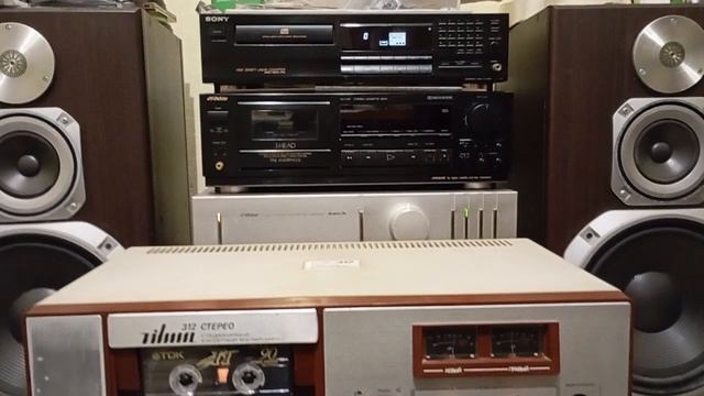 Вильма 312 днмонстрашка смотреть онлайн