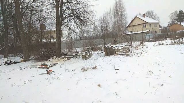 Спил дерева смотреть онлайн