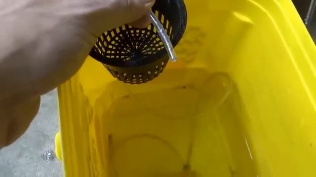 DIY Airlift Pumps Low & High Volume Aquaponics Hydroponics смотреть онлайн
