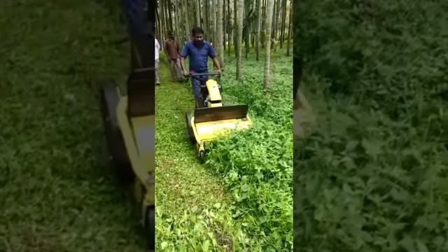 Stubble mower 7HP 4 Stroke Engine (petrol) смотреть онлайн