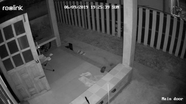 Reolink Argus Eco Video Capture Sample Night смотреть онлайн