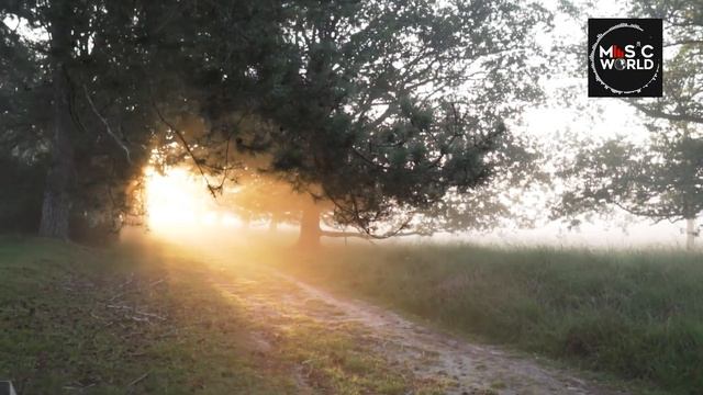 Sounds of Nature #2 смотреть онлайн