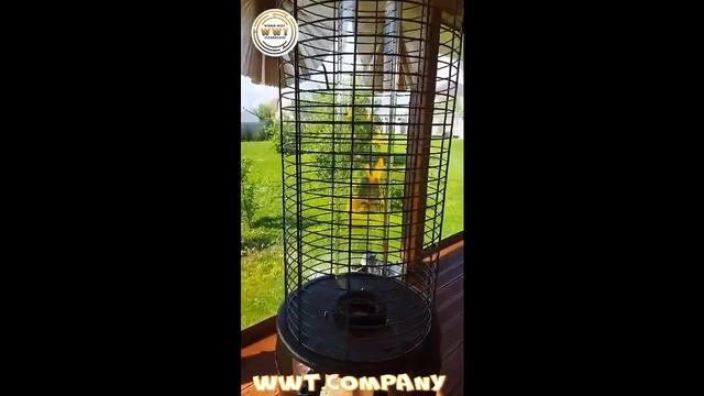 Уличный газовый обогреватель WWT 13D pro Brown mini 1.87 м смотреть онлайн