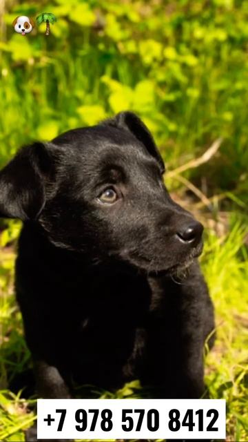 Ужасы нашего городка смотреть онлайн