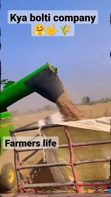 kya bolti company #tranding #harvesting #kyabolticompany #attitude #farmerattitude смотреть онлайн