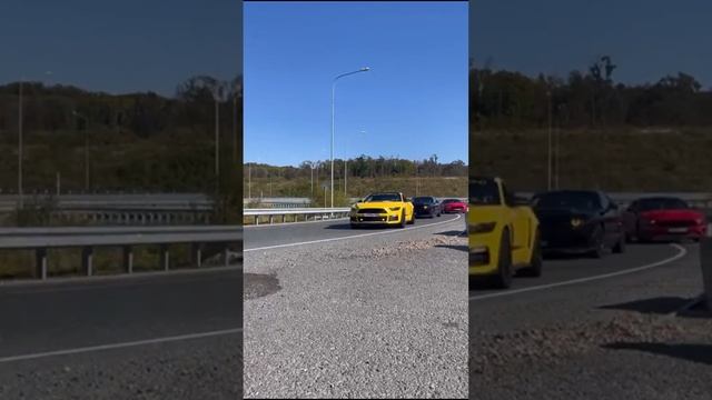 Владивосток 07.10.2023 Muscle car смотреть онлайн