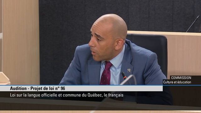 Townshippers' speaks at Bill 96 public hearings - October 6, 2021 смотреть онлайн