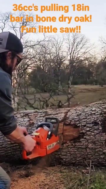 piped and ported husqvarna 36 w/18in bar dry oak!! смотреть онлайн