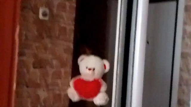 24 ЧАСА В ЛЕСУ смотреть онлайн