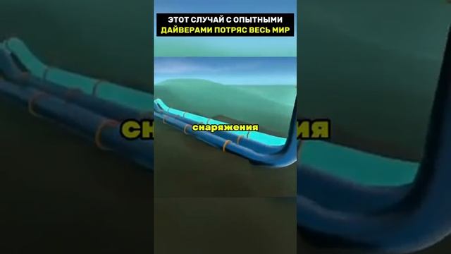 Этот случай с опытными дайверами потряс весь мир смотреть онлайн