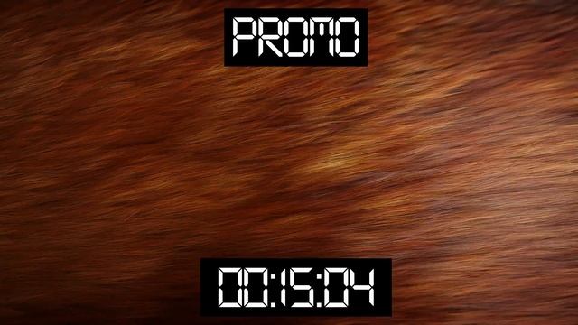 Fur 4k Background смотреть онлайн