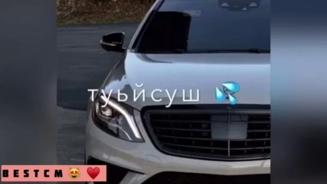 Музыка Ца Гуш санна Суна т1ехь а йуьйлуш♥️👍🏻бомбо🔥♥️ смотреть онлайн
