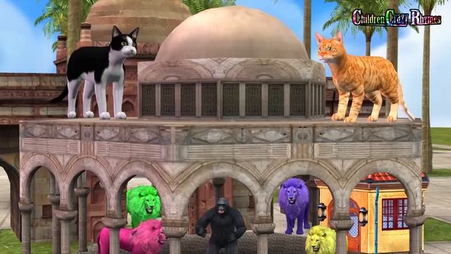 Learn Animals Finger Family Song For Crazy Rhymes || Finger Family Song For Kids