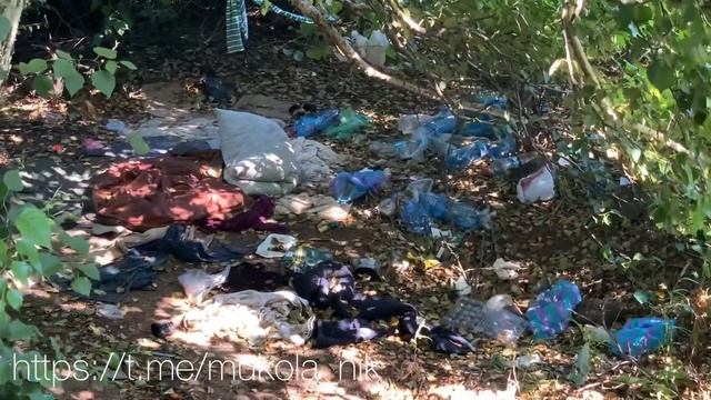 Чайке Владимир мэр Николаева памятник «Сотка» смотреть онлайн
